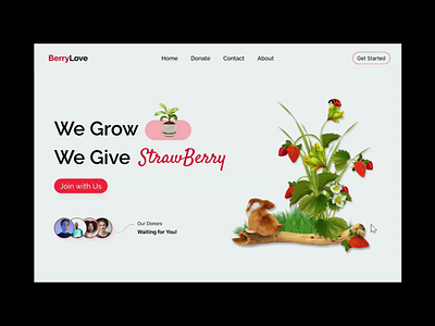 Strawberry donate website design design illustration logo ui ux web design