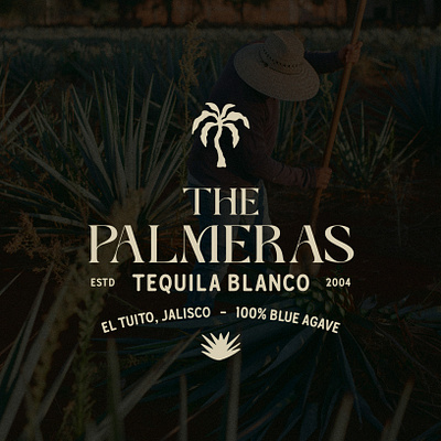 Logo and Branding concept for "The Palmers Tequila" agave agave logo blue agave brand designer brand identity graphic designer jalisoc logo designer logo identity logo maker logos mexico mexico logo tequila tequila agave tequila branding tequila logo visual identity