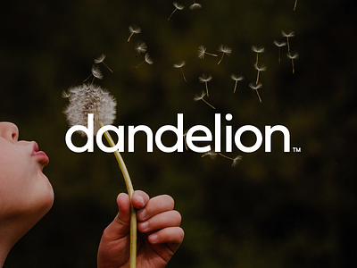 Dandelion Fintech Payments branding fintech identity payments