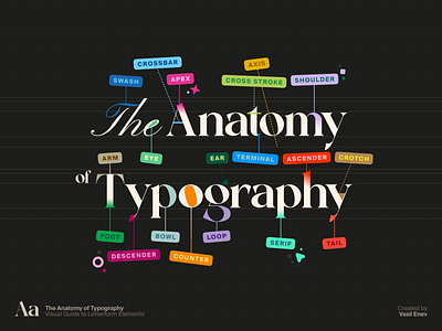 🪶 The Anatomy of Typography anatomy brand card color color palette colorful colors deck flat font fonts free font gradient inspiration rainbow style type type family typeface typography