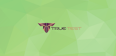 True-Test-Minimalist+-1600 app branding design discount pricing graphic design illustration logo logos typography ui vector