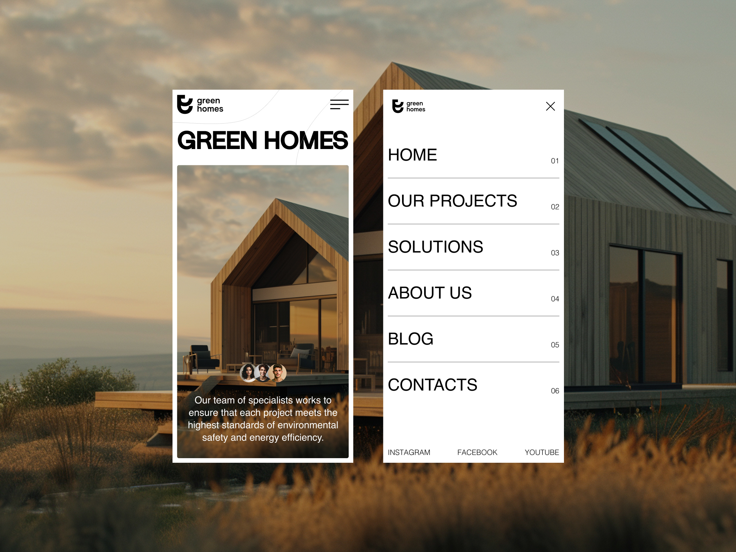 Example of Real Estate Website Design