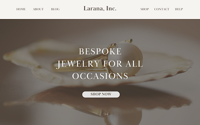 Minimal Jewelry Website Landing Page Design graphic design ui