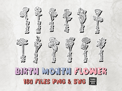 Birth Month Flower PNG SVG beautiful beauty birth bloom blossom botanical botany card doodle elegance element flowers line month name nature organic outline png svg