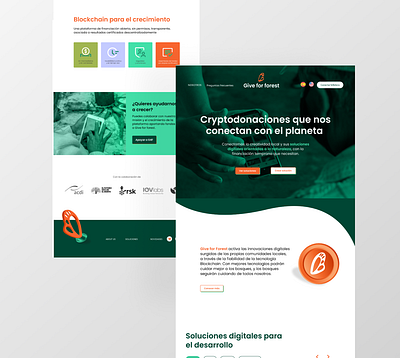 Give4forest - Web graphic design ui ux web
