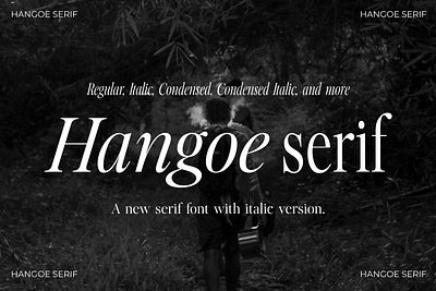 Hangoe: A Versatile Serif Typeface 80s book typeface branding classy serif design graphic design issamtype logo minimalist font old fashioned quote font serif serif font with italic tall condensed type typeface typogaphy web font website font wedding invitation