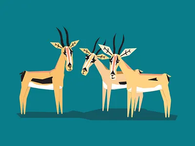 Gazelles! animals deer design gazelle illustration illustrator vector