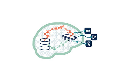 Brain illustration graphic design icon illustration illustrator infographic presentation vector