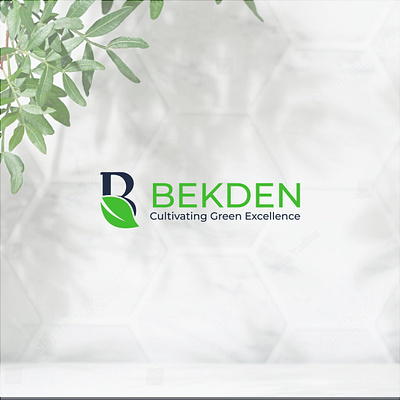 BEKDEN Logo Design & Brand Identity (Its available) branding graphic design logo professional