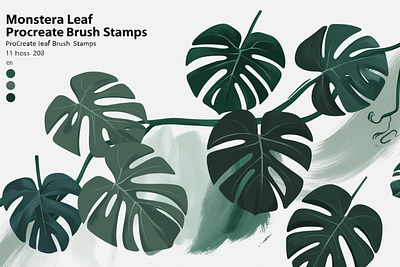 Monstera Leaf Procreate Brush Stamps design graphic design illustration logo vector