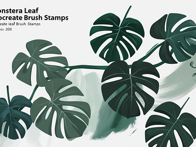 Monstera Leaf Procreate Brush Stamps design graphic design illustration logo vector