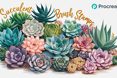 Succulent Procreate Brush Stamps branding design graphic design illustration vector