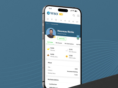 User Profile - Wall Street Oasis finance minimal modern profile responsive ui unique user profile ux
