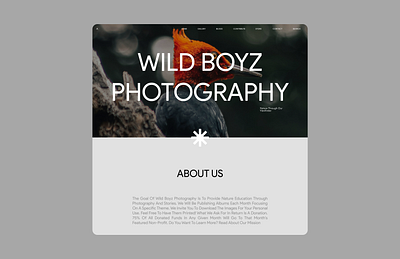 Wild Boyz Photography Website Redesign ui uiux design uiux redesign web design wild boyz photography wild boyz photography website