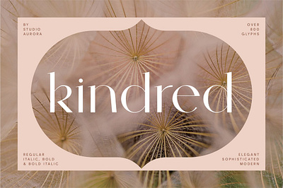 Kindred - Elegant and Chic Font bold font chic contemporary elegant fancy feminine formal fonts for business italic font luxury font minimal font pure font regular font sans serif font sophisticated studio aurora stylish font typeface unique characters