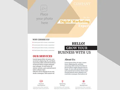 Crisp and Clean: White Flyer Design Graphics & Templates stylish design