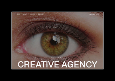 Aesthetics beauty website design ui ux web design web development