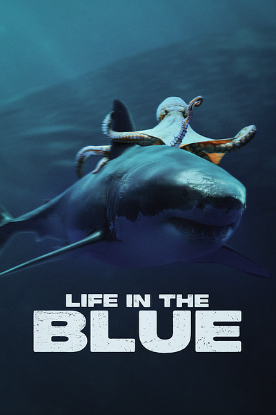 Life In The Blue Poster Design design designer film film design graphic design movie poster design sr designer