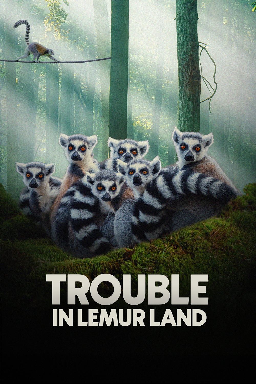 Trouble In Lemur Land Poster Design amazon prime video creative creative design design designer film film poster graphic design hbo keyart movie netflix poster poster designer thumbnail