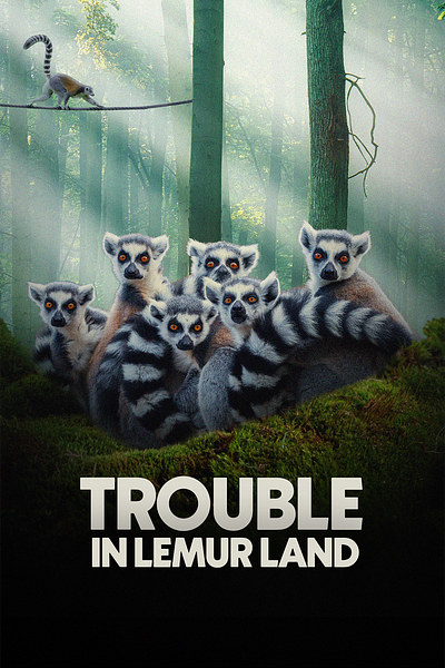 Trouble In Lemur Land Poster Design design designer film graphic design movie poster designer thumbnail