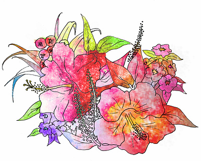 Flowers sketch colors illustration sketch