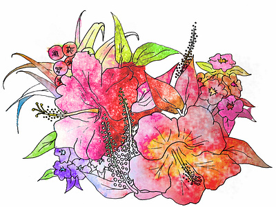 Flowers sketch colors illustration sketch