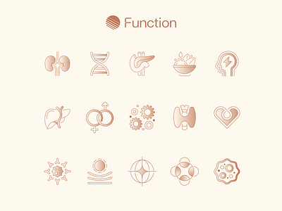 Function Icons allergies blood cancer dna gender health heart icon iconography illustration immunity kidney liver medicine mental health minimal mission nutrition resistance thyroid