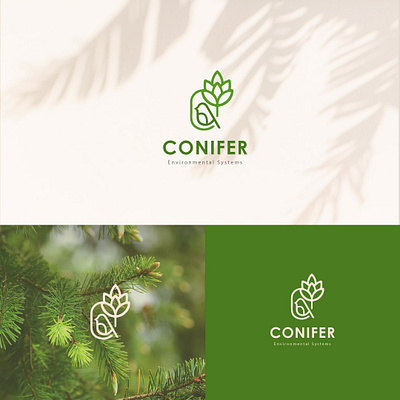 Conifer bird branding leaves logo minimalist logo natural nature pines