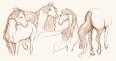 Horsies