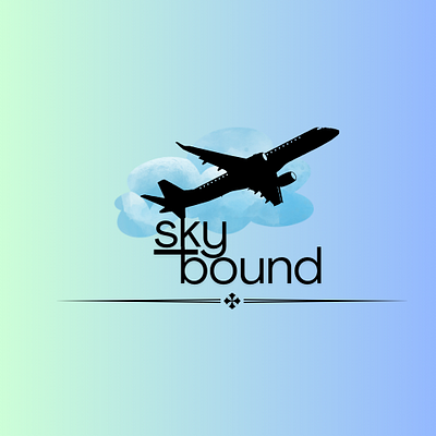 Airline Logo Design branding graphic design logo