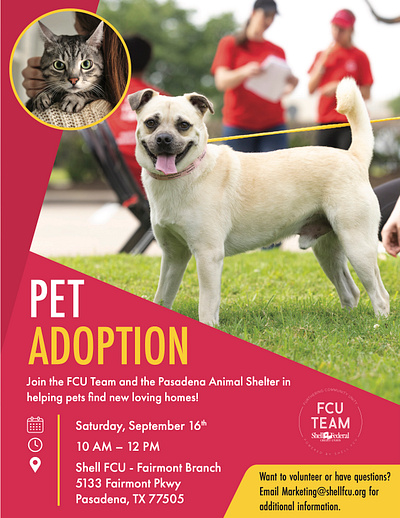 September Pet Adoption