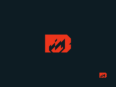 Black Fire logo mark - Concept black branding dark fire flames geometric logo red