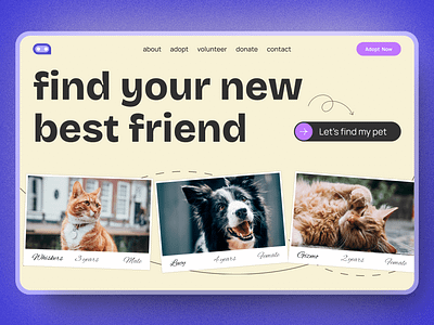 Hero Section Design for an Adoption Center design hero section pets ui ui design ux