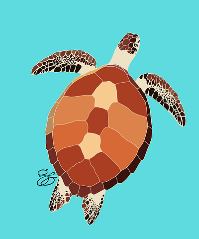 Illustration "Turtle" 2023 animal digital drawing digital illustration illustration turtle