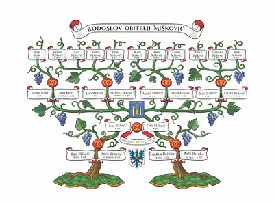 Family Tree drawing ancestry decorative family tree genealogy grapes heraldry illustration traditional vine vintage