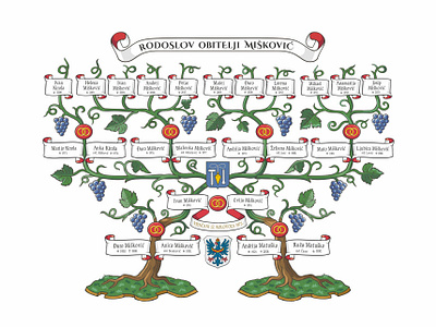 Family Tree drawing ancestry decorative family tree genealogy grapes heraldry illustration traditional vine vintage