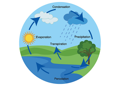 Water Cycle illustration illustration for online school vector