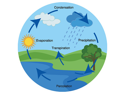 Water Cycle illustration illustration for online school vector