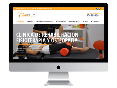 Aureum Fisioterapia - Corporate Website elementor interface desing web web designer web desing website wordpress