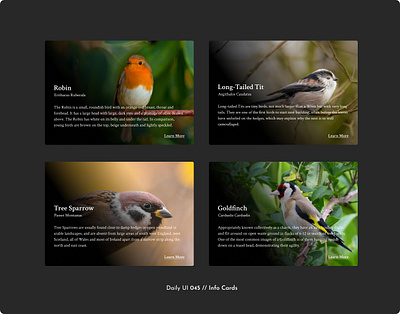 Daily UI Challenge #045 - Info Cards birds cards cards design challenge daily ui daily ui 45 image cards info cards