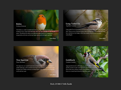 Daily UI Challenge #045 - Info Cards birds cards cards design challenge daily ui daily ui 45 image cards info cards