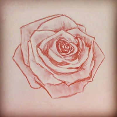 Rose pencil sketch