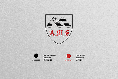 A.M.S concept design graphic design illustrator logo