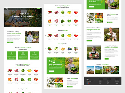 Fruits & Vegetables Website Landing Page uiux design branding business company creative design figma fruits graphic design illustration landing page logo media ui ui design uiux vegetables web design website wireframe wordpress