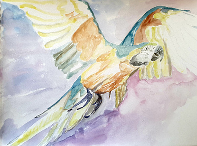 parrot drawing illustration painting watercolor