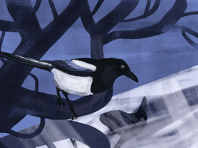 Magpie animal article autumn bird blog dark digital illustration fall illustration magpie mirror post reflection winter