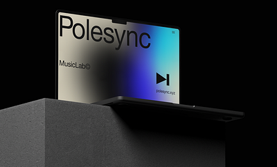 Polesync Visual Identity branding graphic design logo