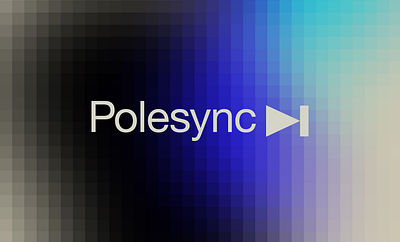 Polesync Visual Identity branding graphic design logo