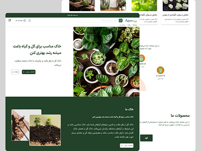 plants design figma figmadesign plants ui uiux ux uxresearch wordpress