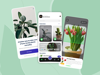 Plant Shop App 3d bbarbakadze design graphic design logo motion graphics product design ui ux web